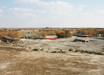 Wetlands in Critical Condition