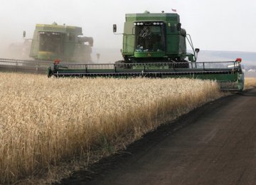 Russian Wheat Prices Slide