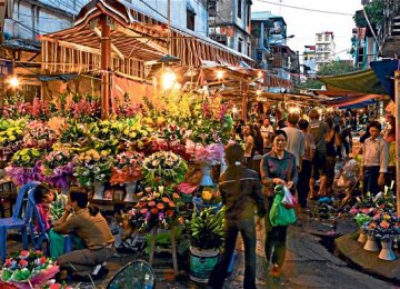 Vietnam Growth Improving