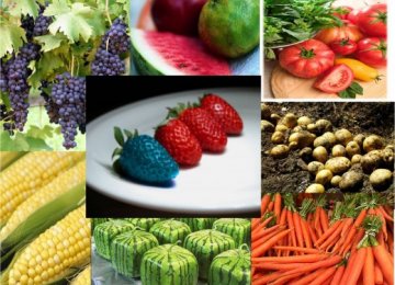 EU Approves Import of 19 More GMOs
