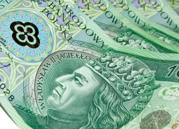 Excessive Zloty Gains Would Hurt Polish Economy