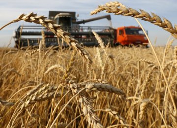 Russia  Record Wheat Exports to Surpass US, Canada