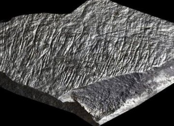 14,000-Year-Old Ice Age Drawings Discovered