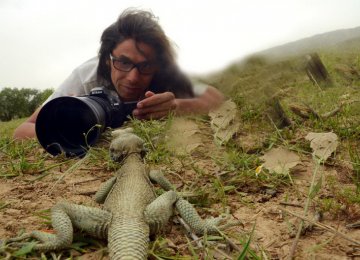 Documentary on Monitor Lizards