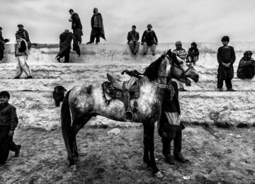 Iranian Photographer Wins French Award 