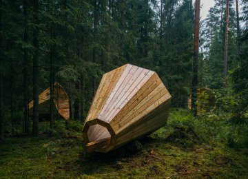 Wooden Megaphones Amplify Forest Ambiance