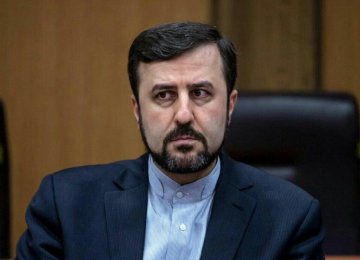 Iran, IAEA Set Up New Joint Projects 