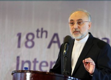 Nuclear Chief Upbeat on  Tehran-IAEA Cooperation