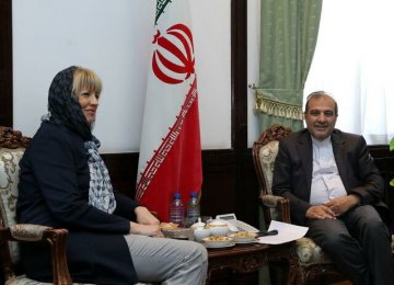 EU Diplomat Discusses Yemen in Tehran