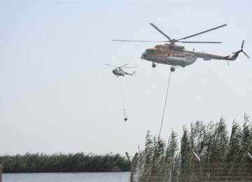 IRGC Choppers Helping Iraq Contain Wildfire