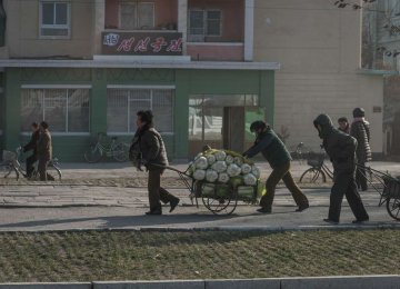 UNICEF is seeking $16.5 million this year to provide nutrition, health and water to North Koreans but faces “operational challenges”.