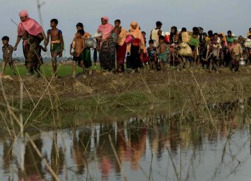 Displaced Rohingya refugees from Rakhine state carry their belongings near  the border between Bangladesh and Myanmar.