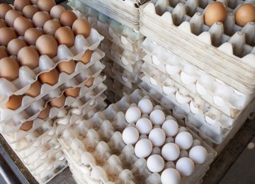 Egg prices have reached as high as 210,000 rials ($5.01)  in some markets.