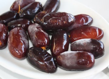 Exports of Dates Rise 