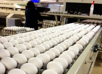  6,200 Tons of Eggs Exported in 3 Months