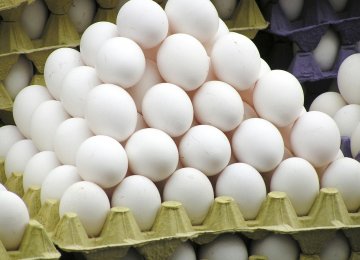 Iran’s Per Capita Egg Consumption at 198