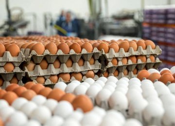 Each Iranian consumed 198 eggs on average in the last fiscal year to March 2017.