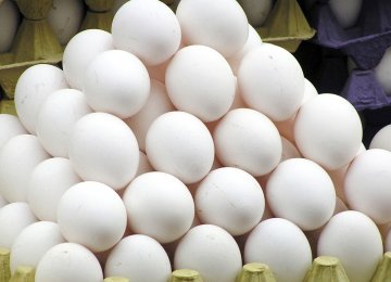 6,500 Tons of Eggs Exported in Two Months