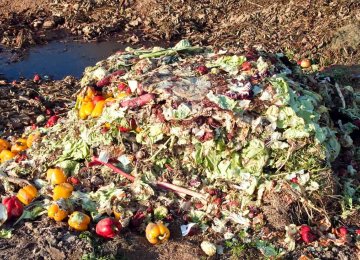Iran’s Annual Food Waste at 25m Tons