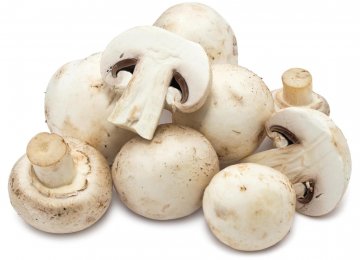 The world’s edible mushroom production is estimated to be worth around $20 billion.