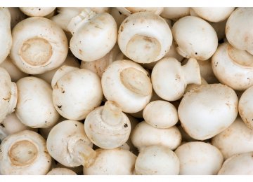 Decline in Mushroom Consumption