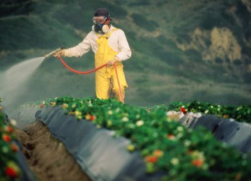 Pesticide Production Meets 80% of Domestic Demand