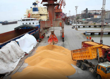 Customs Clearance of Animal Feed Declines 