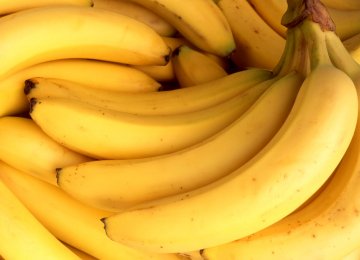 Banana Shipment From Philippines Next Week