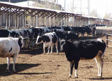 Industrial Livestock Farms’ PPI at 17.29% in Q3 