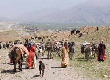 Nomads in Iran annually produce 190,000 tons of red meat, accounting for 25% of the domestic red meat production.