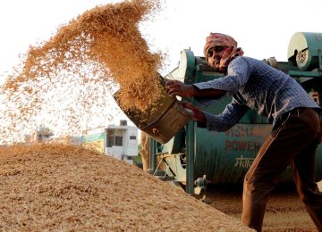 India Losing Iran’s Rice Market as  Rupee Reserves Deplete