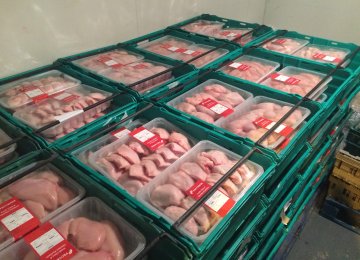 34% Rise in Poultry Meat Output 