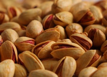 Pistachio Exports to Spain Accelerated by 58% in 2022