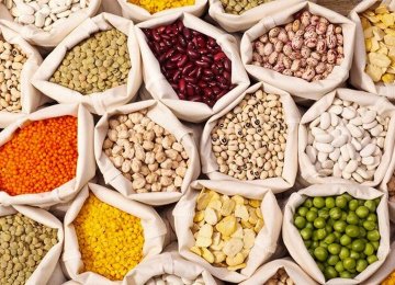 250K Tons of Pulses  Imported Annually