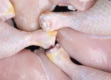 Russian Poultry Imports May Worsen Domestic Oversupply