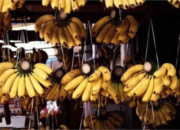 Banana Imports Top $260m