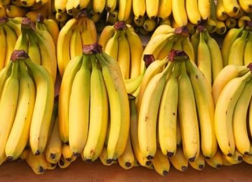 Banana Imports at $113m in Four Months