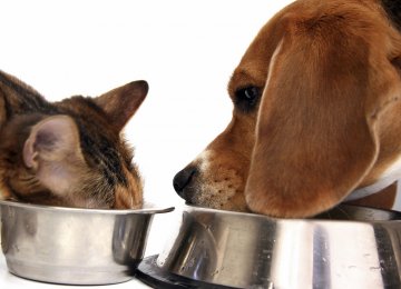 Pet Food Imports Top 3K Tons