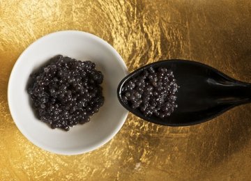 388 Kg of Caviar Exported in 5 Months