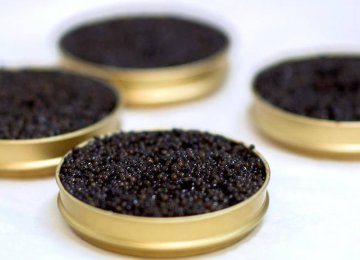 About 2 tons of farmed caviar were produced in Iran last year.