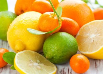 Citrus Fruit Output to Rise by 7%