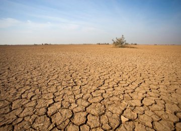 Climate Change Causes $1.97b in Damage to Iran&#039;s Agricultural in H1