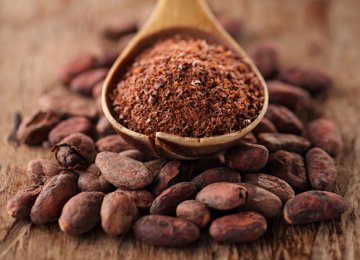 Sugar-Free Cocoa Powder Imports