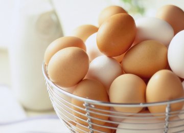 Egg Exports Hit by Bird Flu