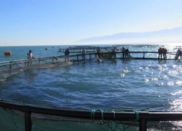 Cage Fish Farming Project Launched