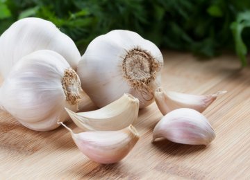 Garlic Exports Exceed $1m