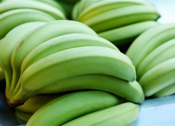 Bananas Exported to Turkmenistan, Turkey, Qatar