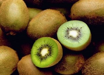 Kiwi Exports Resume