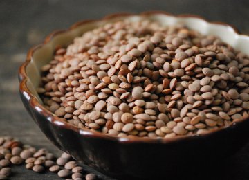 $5.5m Worth of Lentil Imported in 1 Month