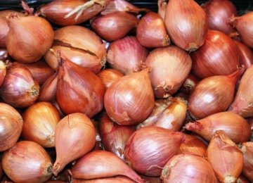 Onion, Shallot Consignments for to Regional States